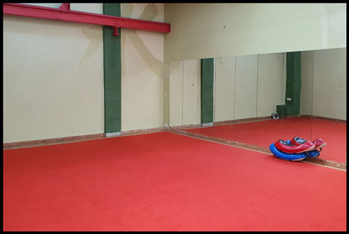 Additional Dojo View