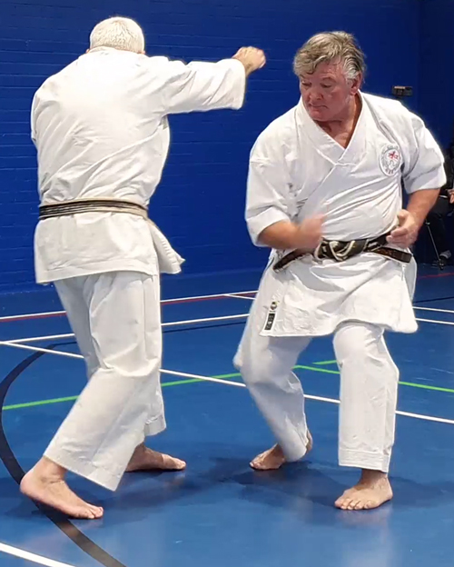 Datsuryoku — relaxed structure, fluid movement, and non-telegraphing power