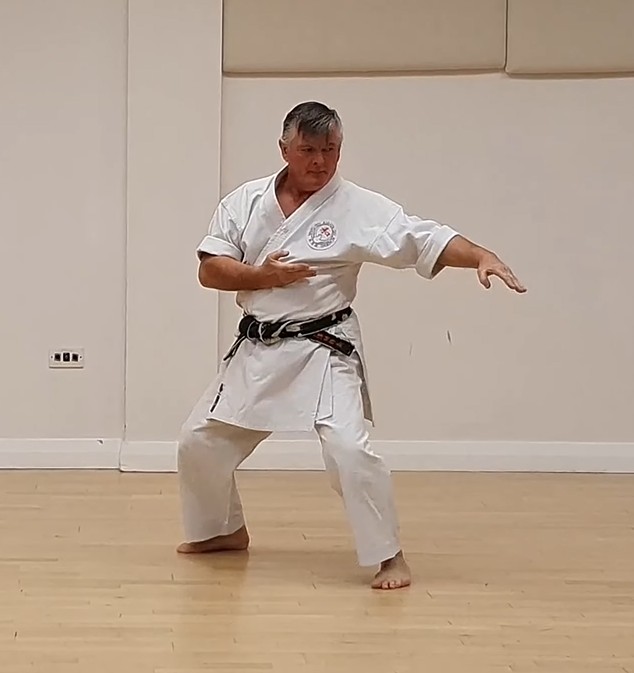 Pinan Nidan focus — stance, timing, movement