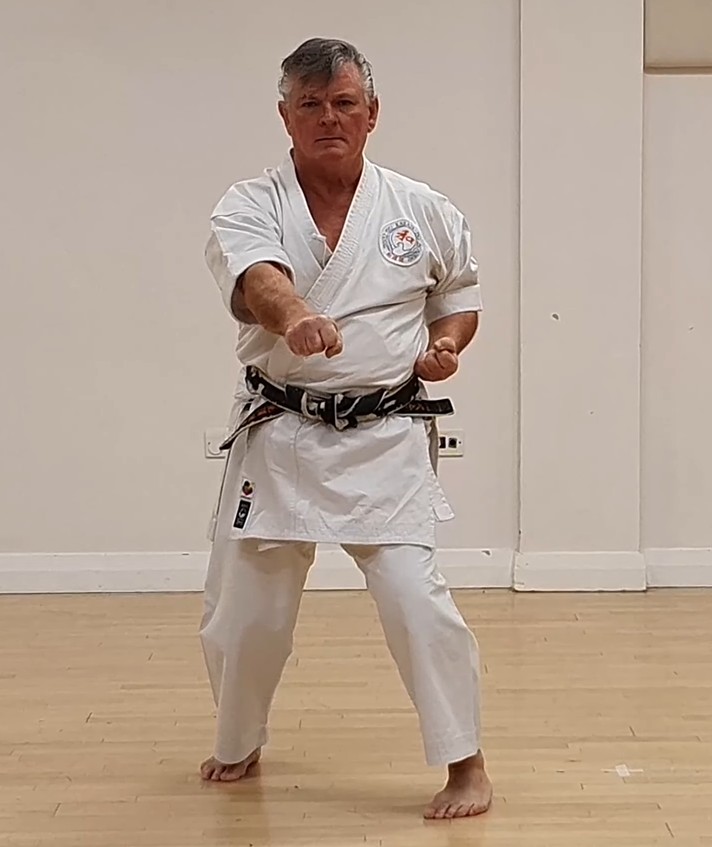 Seishan kata — rooted stance and calm, powerful movement