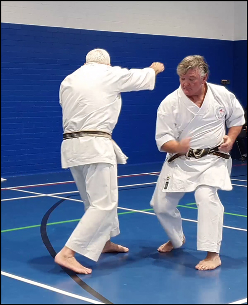 Sen-sen-no-sen in Wadō-Ryū — anticipating intention before the attack begins